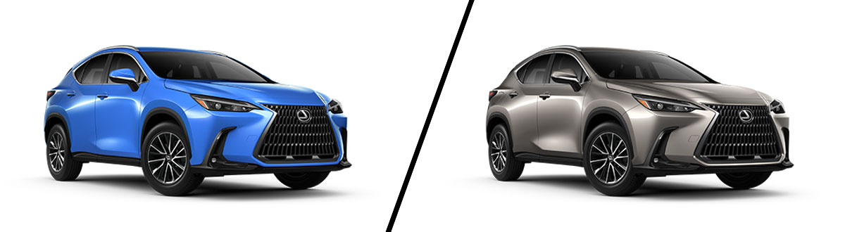 2024 Lexus NX 250 vs NX 350