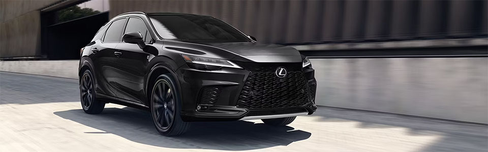 2025 Lexus RX Exterior